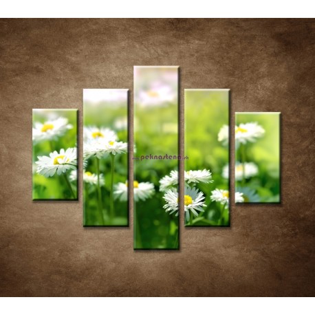 Obrazy na stenu - Kvety sedmokrásky - 5dielny 100x80cm
