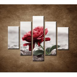 Obrazy na stenu - Červená ruža na kameňoch - 5dielny 100x80cm
