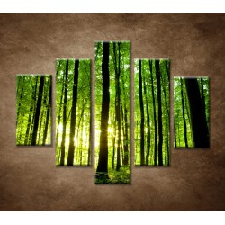 Obrazy na stenu - Zelený les  - 5dielny 100x80cm