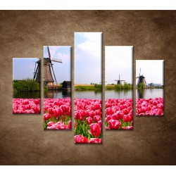 Obrazy na stenu - Veterné mlyny s tulipánmi - 5dielny 100x80cm
