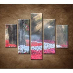 Obrazy na stenu - Kvetinová záhrada - 5dielny 100x80cm