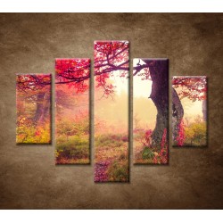 Obrazy na stenu - Jesenné stromy - 5dielny 100x80cm