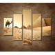 Obrazy na stenu - Ťava v púšti - 5dielny 100x80cm