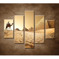 Obrazy na stenu - Ťava v púšti - 5dielny 100x80cm