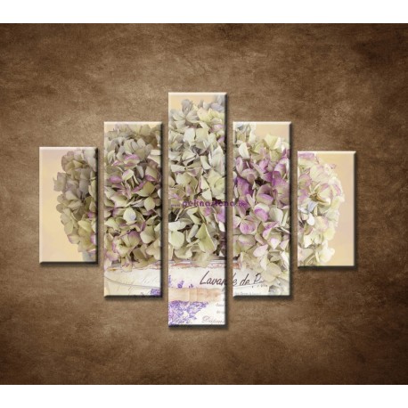 Obrazy na stenu - Hortenzia v kvetináči - 5dielny 100x80cm