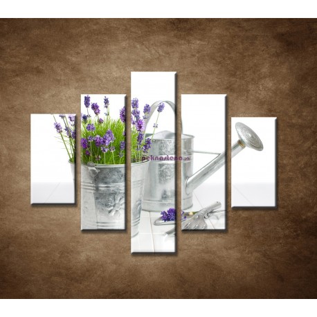 Obrazy na stenu - Vedierko s levanduľou  - 5dielny 100x80cm