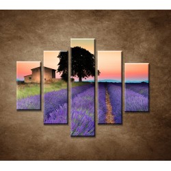 Obrazy na stenu - Letný západ slnka - 5dielny 100x80cm