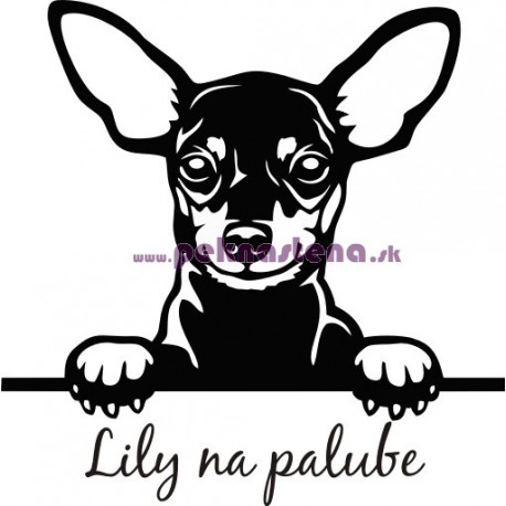 Nálepka na auto - Trpasličí pinč