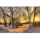 Fototapety - Krajina v zime