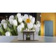 Fototapety - Biele tulipány