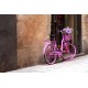 Fototapety - Ružový bycikel