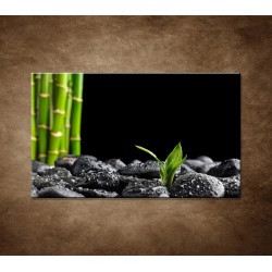 Obraz - Čierne kamene a bambus