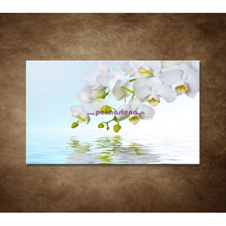 Obraz na stenu - Biela orchidea nad hladinou