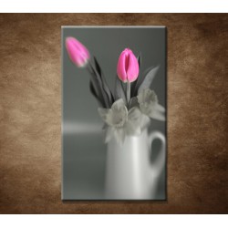 Obraz - Ružové tulipány