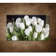 Obraz na stenu - Biele tulipány