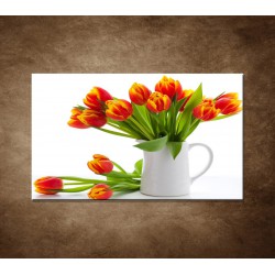 Obraz na stenu - Červené tulipány