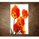 Obraz na stenu - Oranžové tulipány