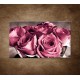 Obraz na stenu - Kytica ruží