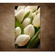 Obraz na stenu - Kytica tulipánov - detail