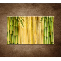 Obrazy na stenu - Bambusové stonky