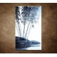 Obrazy na stenu - Bambus a kamene na vode