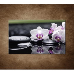 Obrazy na stenu - Ružová orchidea a kamene