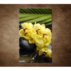 Obraz - Žltá orchidea s kameňmi