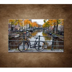 Obraz na stenu - Jeseň v Holandsku