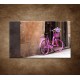 Obraz na stenu - Ružový bicykel