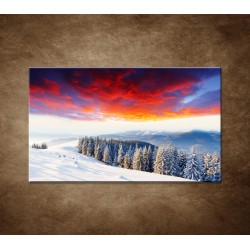 Obrazy na stenu - Zimná príroda