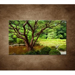 Obrazy na stenu - Japonská záhrada