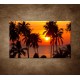 Obrazy na stenu - Západ slnka s palmami