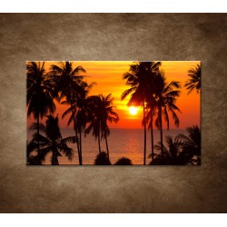 Obrazy na stenu - Západ slnka s palmami