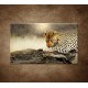 Obrazy na stenu - Odpočívajúci leopard