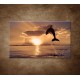 Obrazy na stenu - Skákajúci delfín