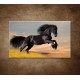 Obrazy na stenu - Skákajúci kôň