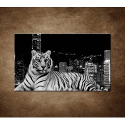 Obrazy na stenu - Mestský tiger