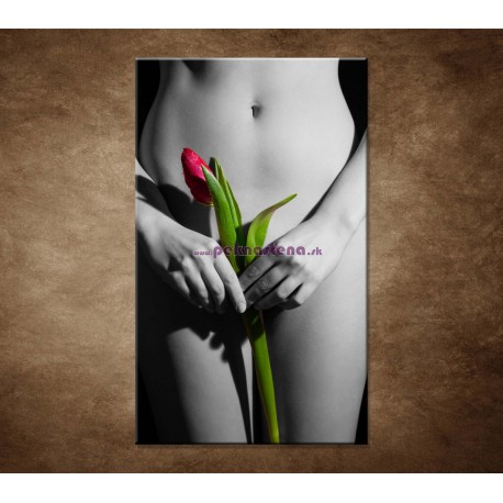 Obrazy na stenu - Dievča s tulipánom