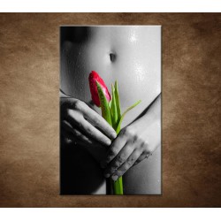 Obrazy na stenu - Mokré dievča s tulipánom