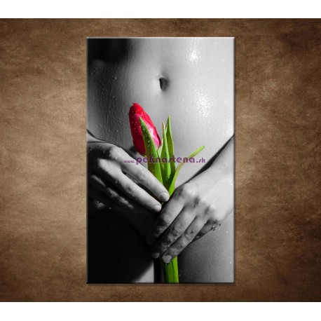 Obrazy na stenu - Mokré dievča s tulipánom