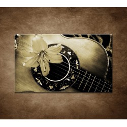 Obrazy na stenu - Gitara s kvetom