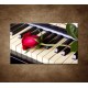 Obrazy na stenu - Ruža na klavíri