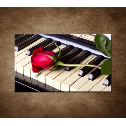 Obraz - Ruža na klavíri