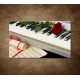 Obrazy na stenu - Piano a ruža