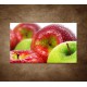 Obrazy na stenu - Červené a zelené jablká