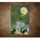 Obrazy na stenu - Maľovaná ruža