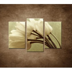 Obrazy na stenu - Kytica tulipánov - 3dielny 75x50cm
