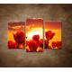 Obrazy na stenu - Západ slnka nad tulipánmi - 3dielny 75x50cm