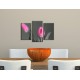 Obrazy na stenu - Ružové tulipány - 3dielny 75x50cm
