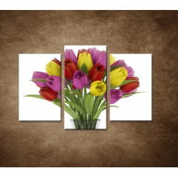 Obrazy na stenu - Tulipány vo váze  - 3dielny 75x50cm
